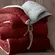 Coberdrom Sherpa e Flannel 550g