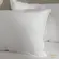 Travesseiro Trussardi Pena de Ganso